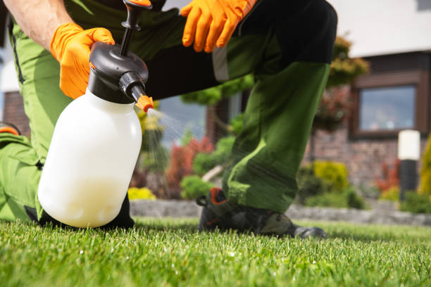 Best Affordable Pest Control Services  in Byron, MN