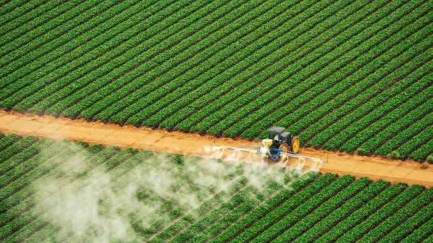 Best Mosquito Control Services  in Byron, MN