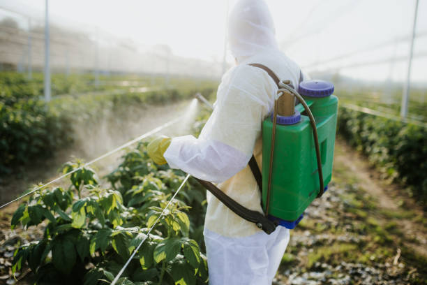 Byron, MN Pest Control Company